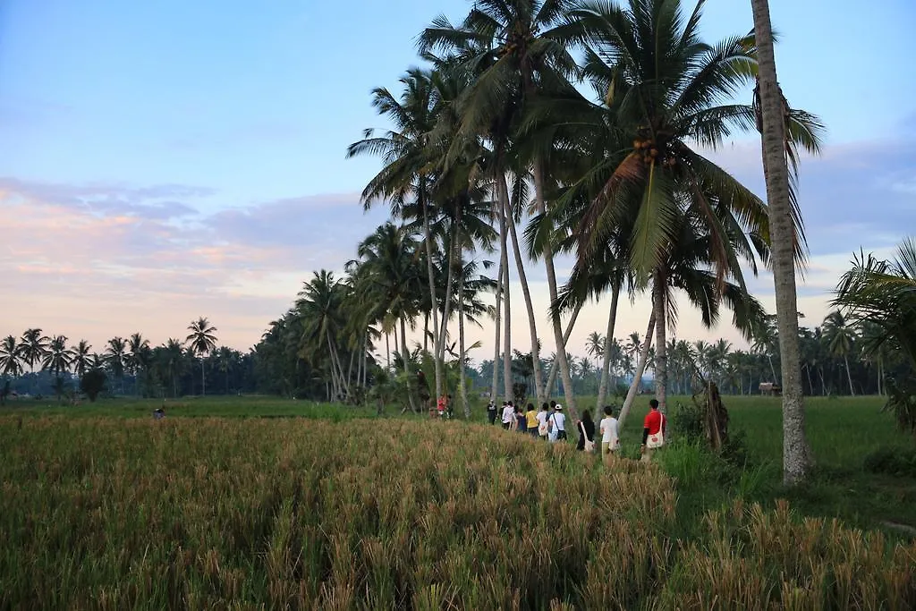 Om Ham Retreat And Resort Ubud  Hotel