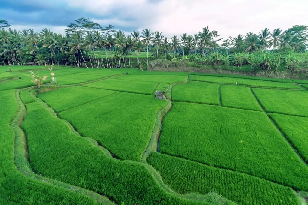 Om Ham Retreat And Resort Ubud